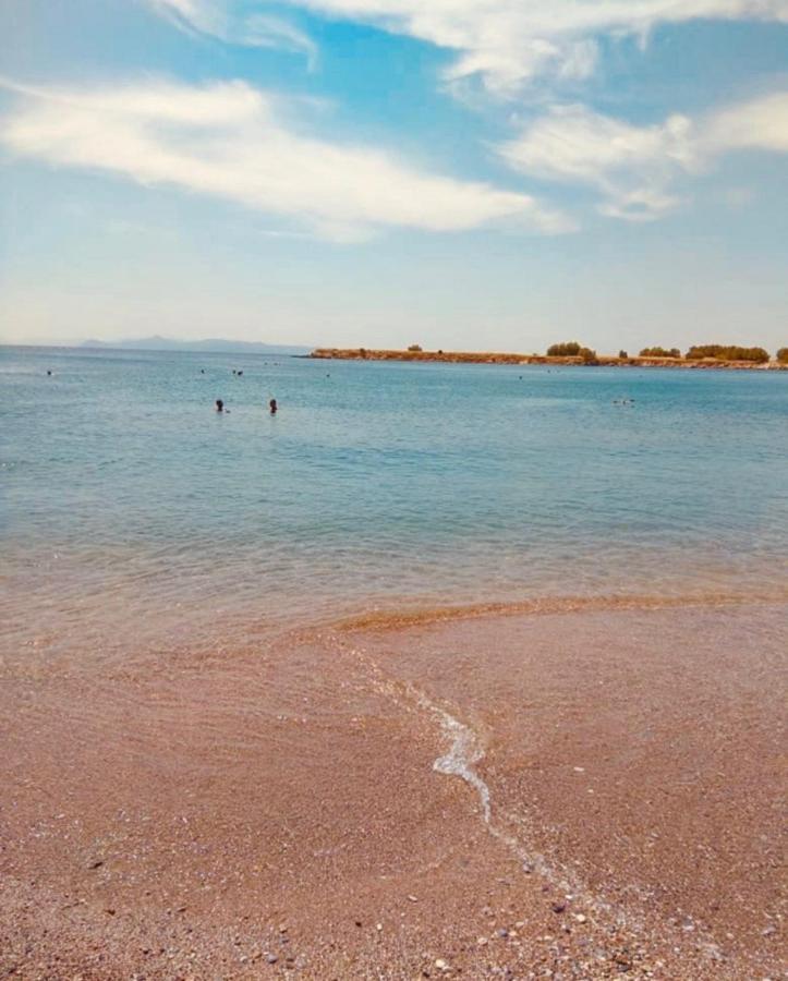 Modern Apt In Glyfada A Breath Away From The Sea - The View アテネ エクステリア 写真